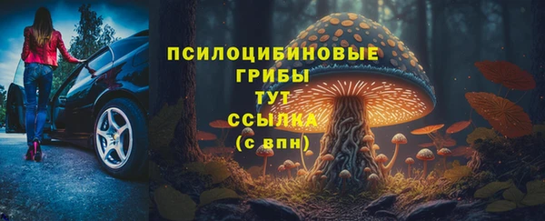 COCAINE Дмитриев